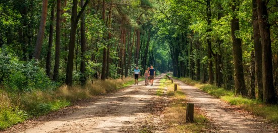 impression-mobile-img-1