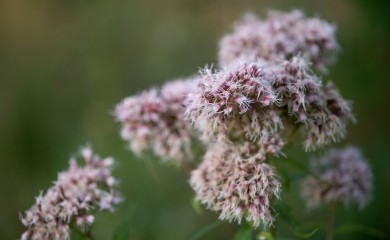 img-9