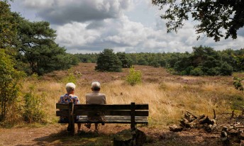 Gallery image mobile 3