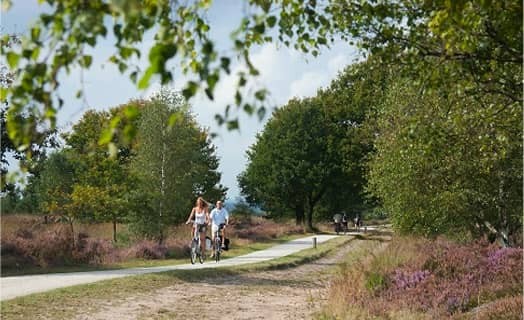 mobile_block_image_2