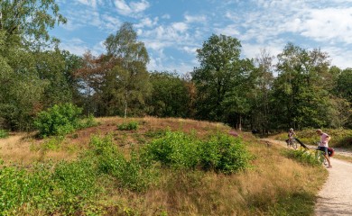 img-12